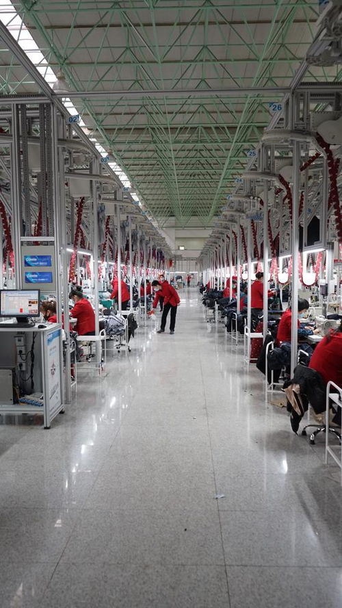 全面復(fù)產(chǎn) | 濟(jì)寧企業(yè)復(fù)工首日即完成首批海外鞋帽訂單