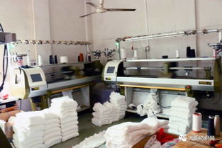 志豐針織時(shí)裝廠 專業(yè)印花毛衣系列，歡迎來樣來圖訂貨